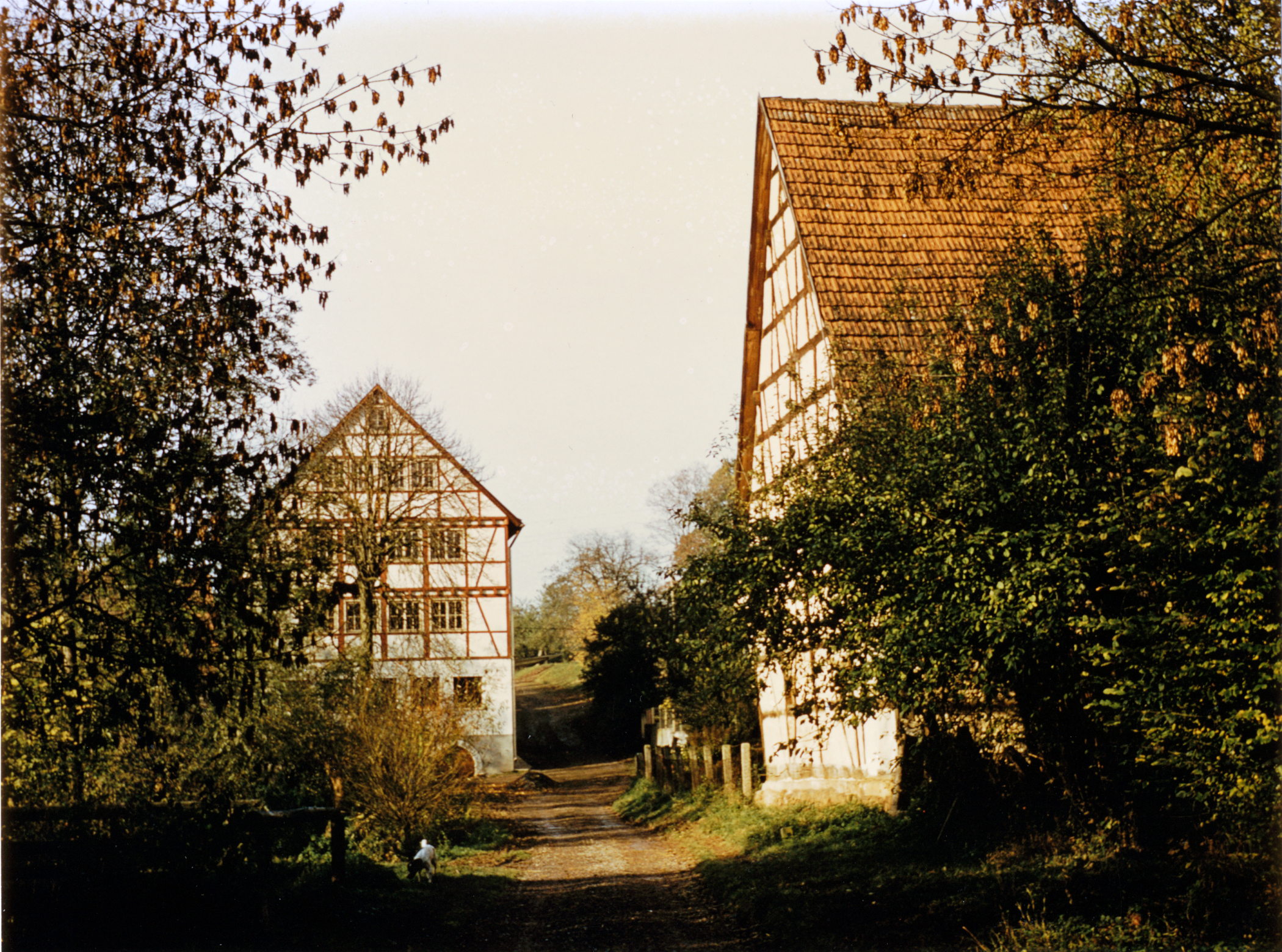 Die Stockhauser Mühle in den 1960er Jahren
