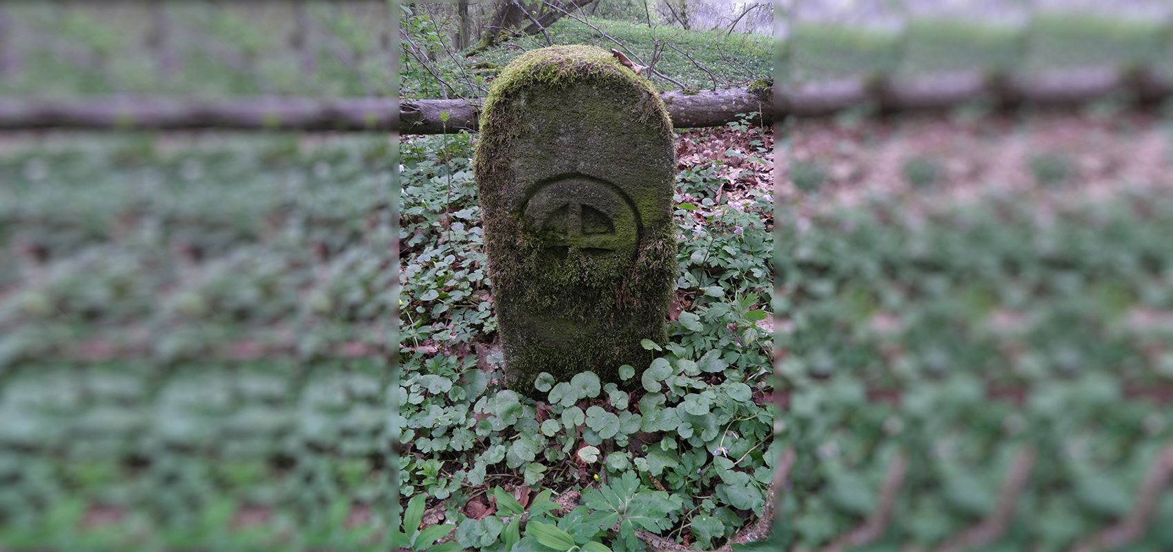 Das Kemnater Wappen in stilisierter Form auf einem Grenzstein im Wald zwischen Stockhausen und Scharnhausen
