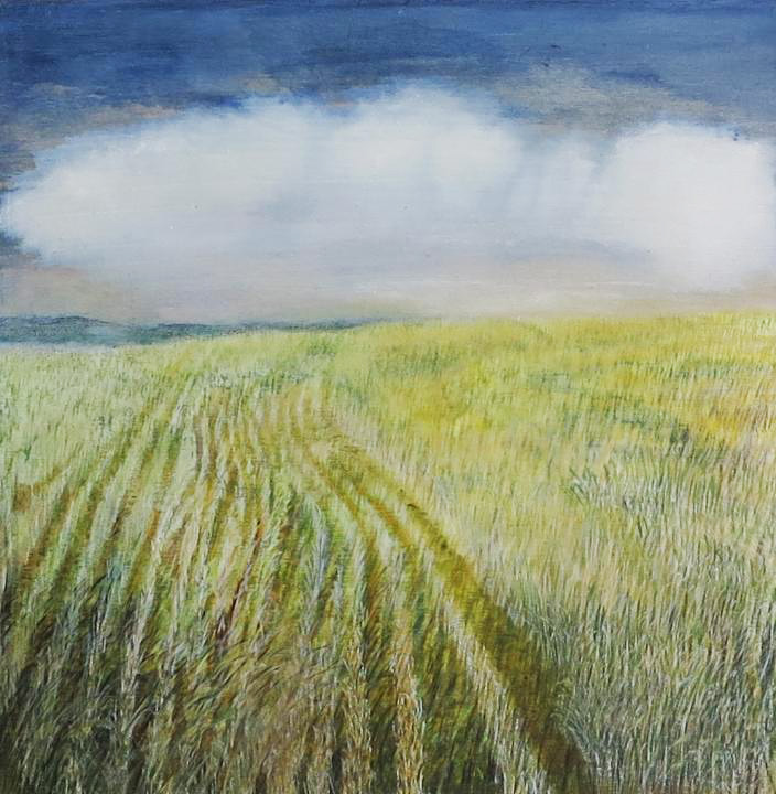 "Regenfeld" von Sibylle Duhm-Arnaudov, 2023, 30 cm x 30 cm, Farbige Tusche auf Holz
