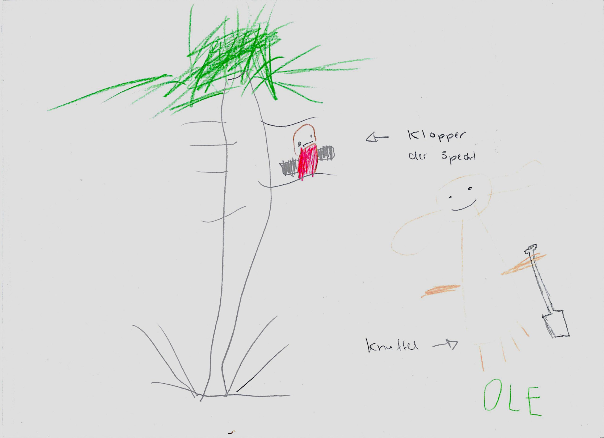 Klopper und Knuffel - gemalt von Ole